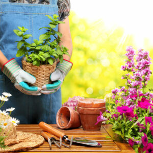 6 gardening mistakes to steer clear of