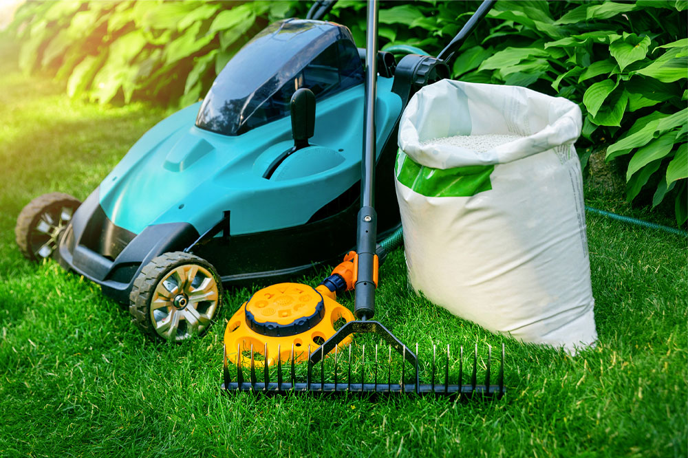 Top 5 lawn care tips to check out